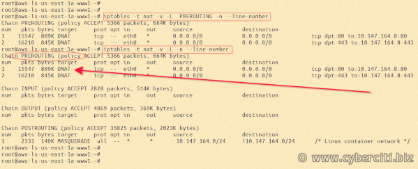 Iptables 列出 Linux 上的预路由规则