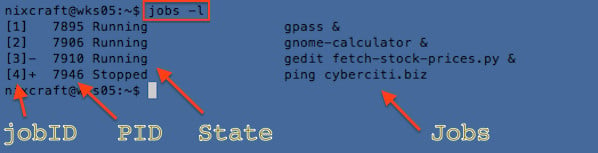 图 01：在 shell 中显示作业状态 - jobs 命令示例