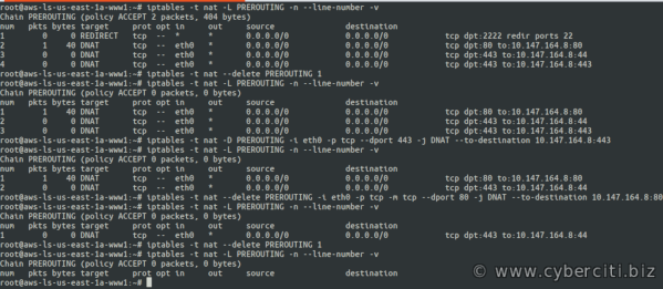 Linux Iptables 删除预路由规则命令