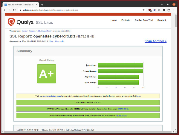 OpenSUSE Linux Nginx SSL 实验室 A+ 评分