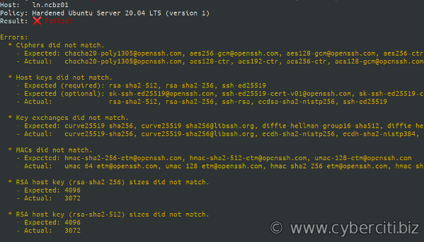 ssh-audit 策略扫描输出