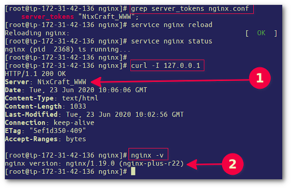 隐藏 Nginx 版本号并设置自定义版本或名称