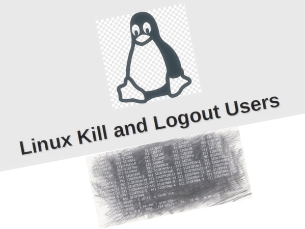 如何使用 Linux 终止并注销用户命令