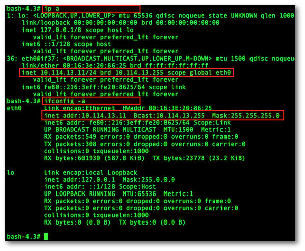 图 02：在 Alpine Linux 上查找您的 IP 地址