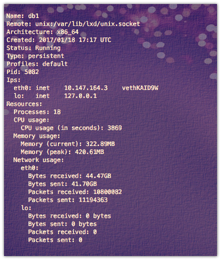 图 01：在 Linux 上设置 lxd/lxc（Linux 容器）的 DHCP IP