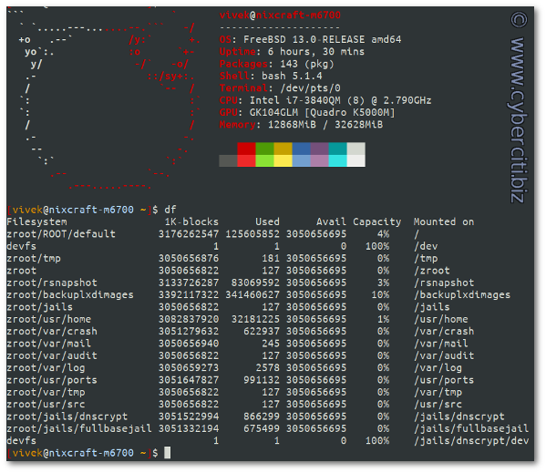 如何在 Linux 或 FreeBSD Unix 中使用 df 命令