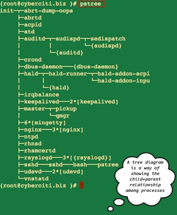 图 01：pstree 命令运行情况
