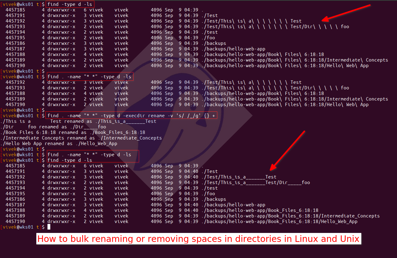 如何在 Linux 和 Unix 中批量重命名或删除目录中的空格