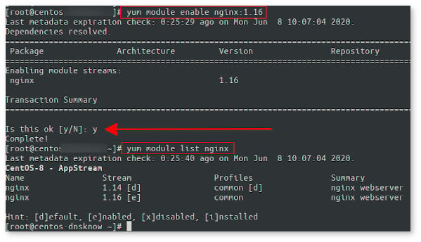 如何在 CentOS 8 版本 1.16 上安装 Nginx