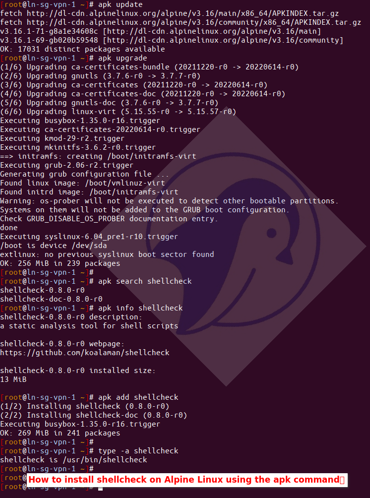 如何使用 apk 命令在 Alpine Linux 上安装 shellcheck