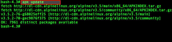 图 01：如何在 Alpine Linux 中更新软件包列表