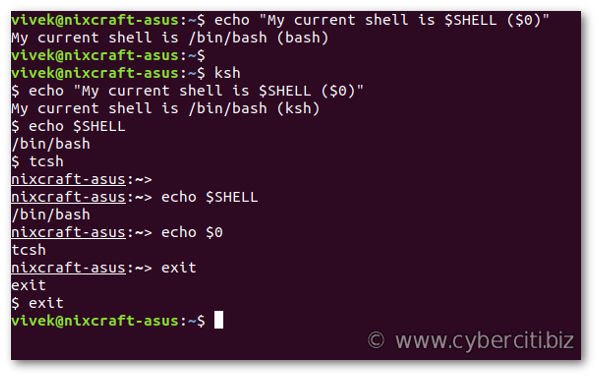 了解我在 Linux 或 Unix 上使用的 shell