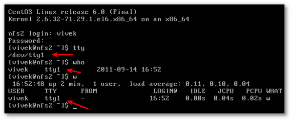 Linux / UNIX / BSD / Apple OSX：我正在使用什么 tty？