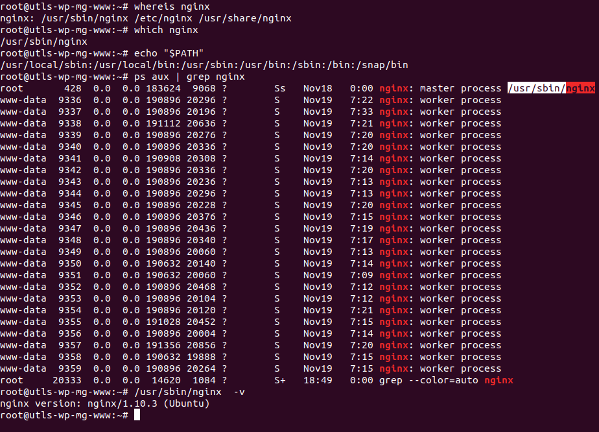 未找到 nginx 命令