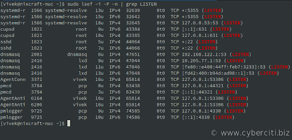 lsof 列出 Linux 上的开放端口