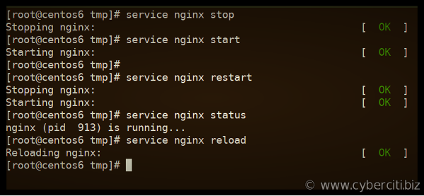 How To Install nginx on CentOS 6 with yum