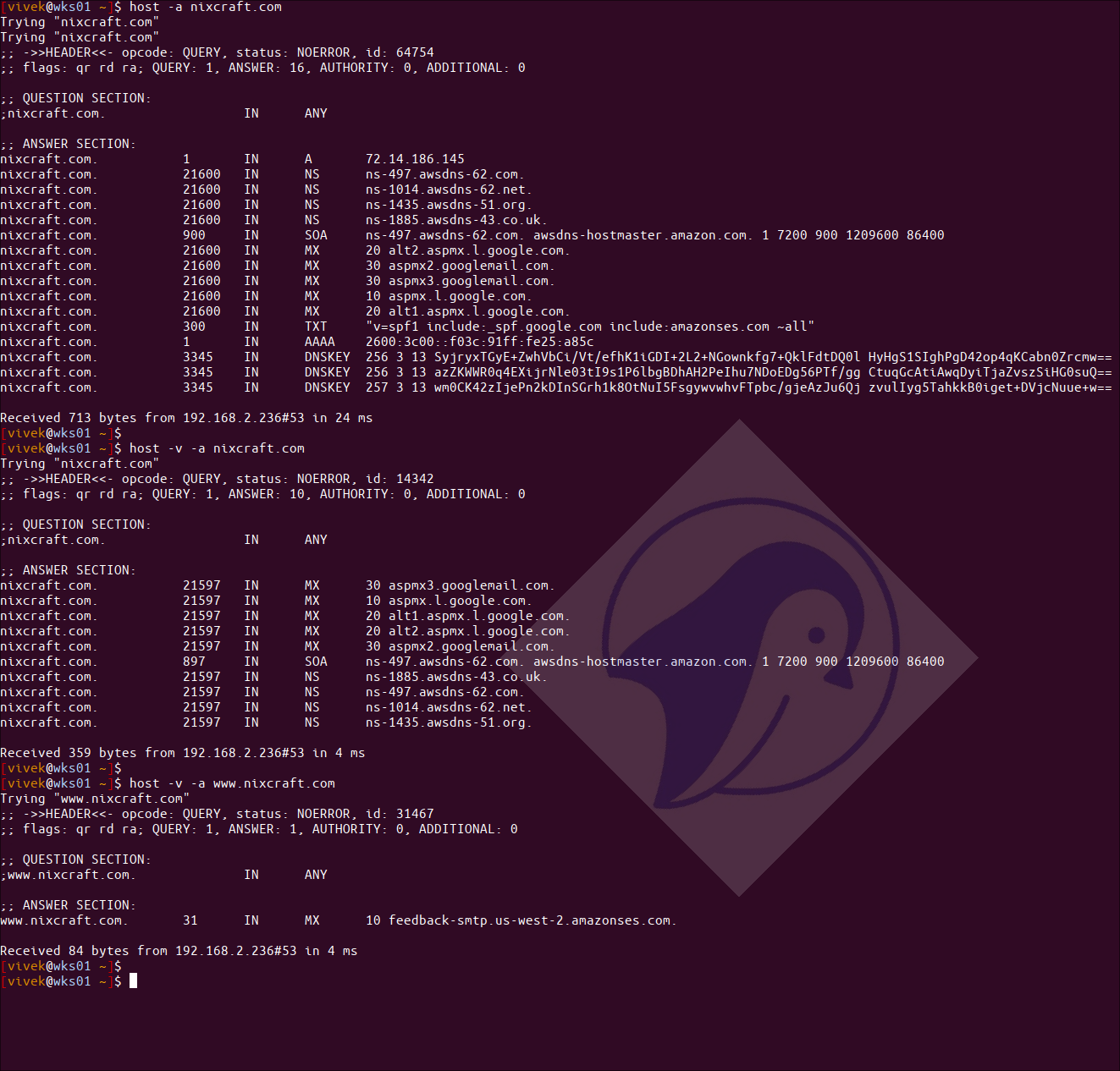 Linux 中的 host 命令及其域示例