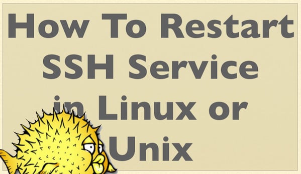 在 Linux 或 Unix 中重新启动 ssh 服务