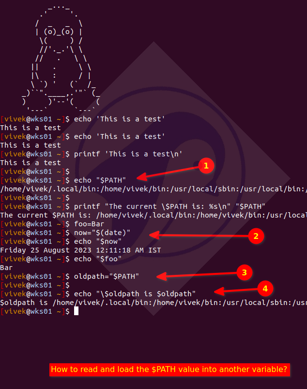 如何在 Linux 和 Unix 中读取和打印 $PATH Shell 变量