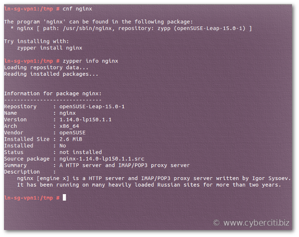 OpenSUSE Linux 查找包含 nginx Web 服务器的软件包