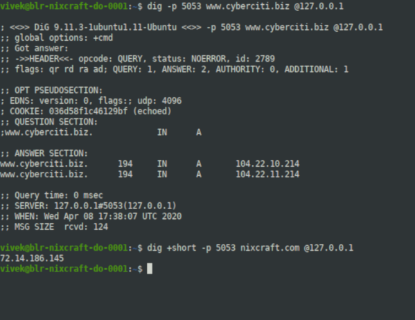 Linux and Unix dig Command Examples