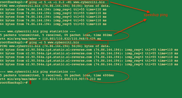 图 01：Unix 和 Linux 加速 ping 命令