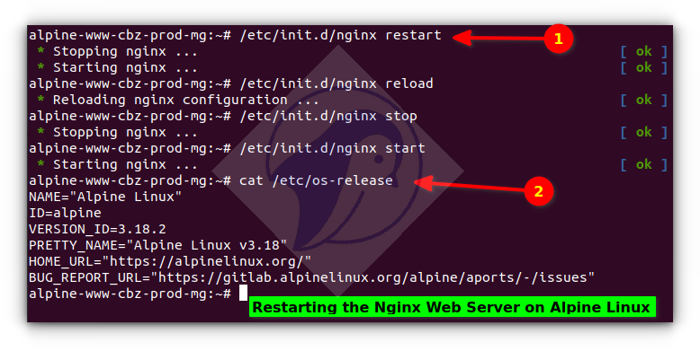 如何在 Alpine Linux 中使用命令行重新启动 nginx Web 服务器