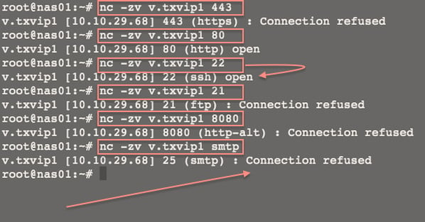 图 01：Linux/Unix：使用 Netcat 在服务器上建立和测试 TCP 和 UDP 连接