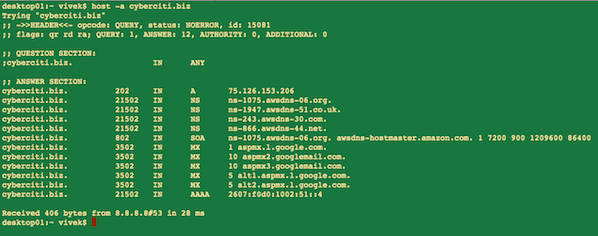 图 01：-a 选项显示任何类型的 DNS 记录