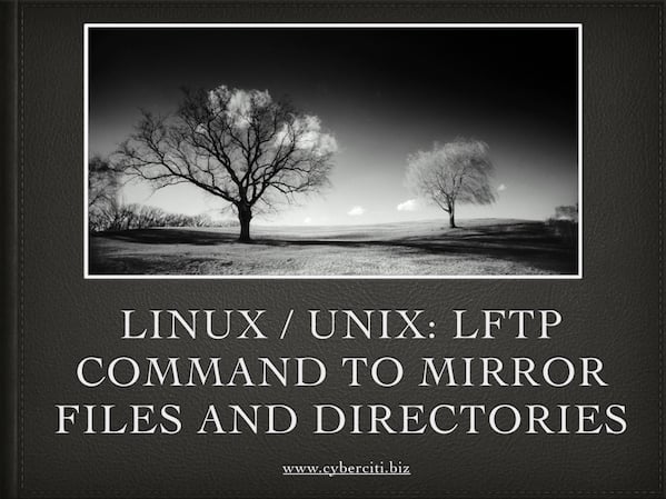 Linux / Unix lftp 命令用于镜像文件和目录