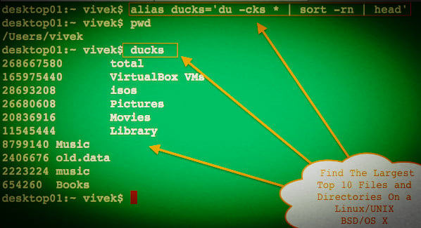 如何在 Linux / UNIX / BSD 上查找最大的前 10 个文件和目录