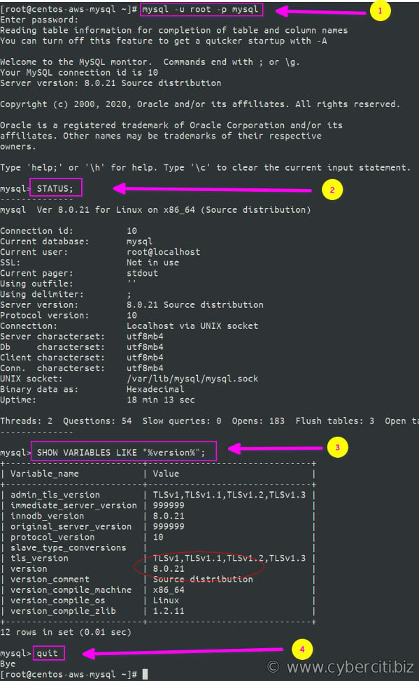 在 CentOS 8 上测试 MySQL