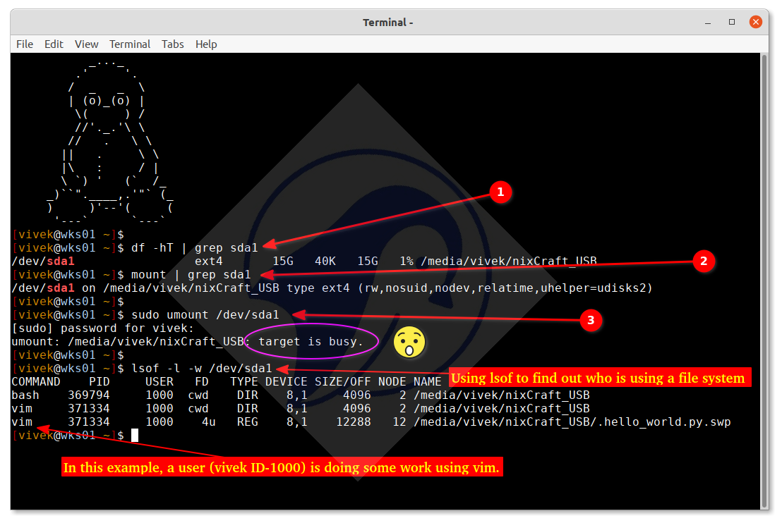 使用 lsof 查找谁在使用 Linux 或 Unix 文件系统