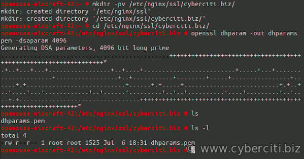 openssl 命令 - DH 参数操作和生成