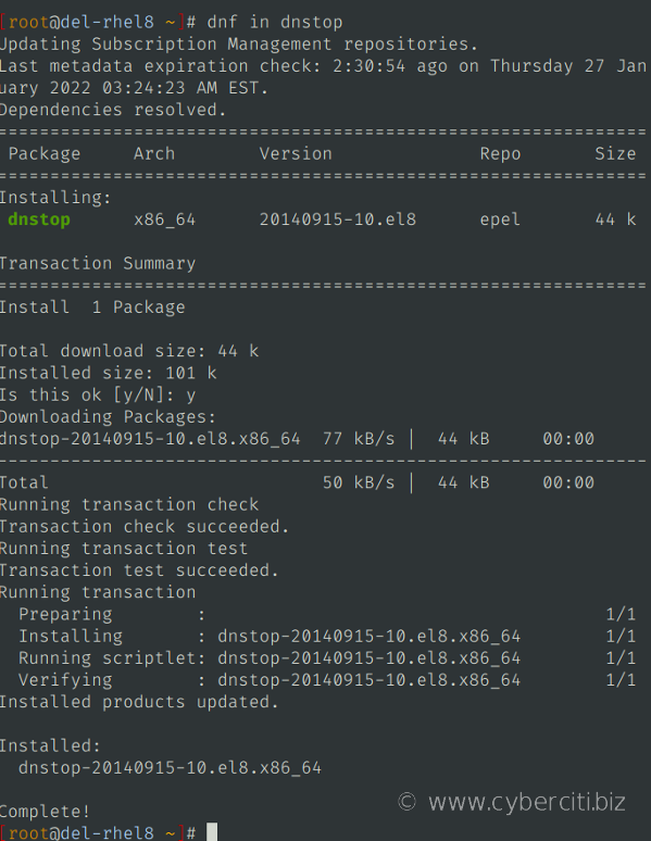 RHEL 8 安装 dnstop 以查看网络上的各种 DNS 流量表