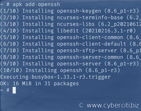 如何使用 apk 在 Alpine Linux 上安装 OpenSSH 服务器