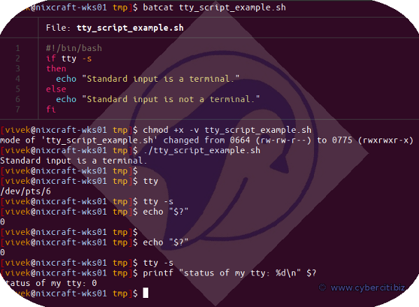 通过 Linux 和 Unix 的 tty 命令示例了解 tty 的含义