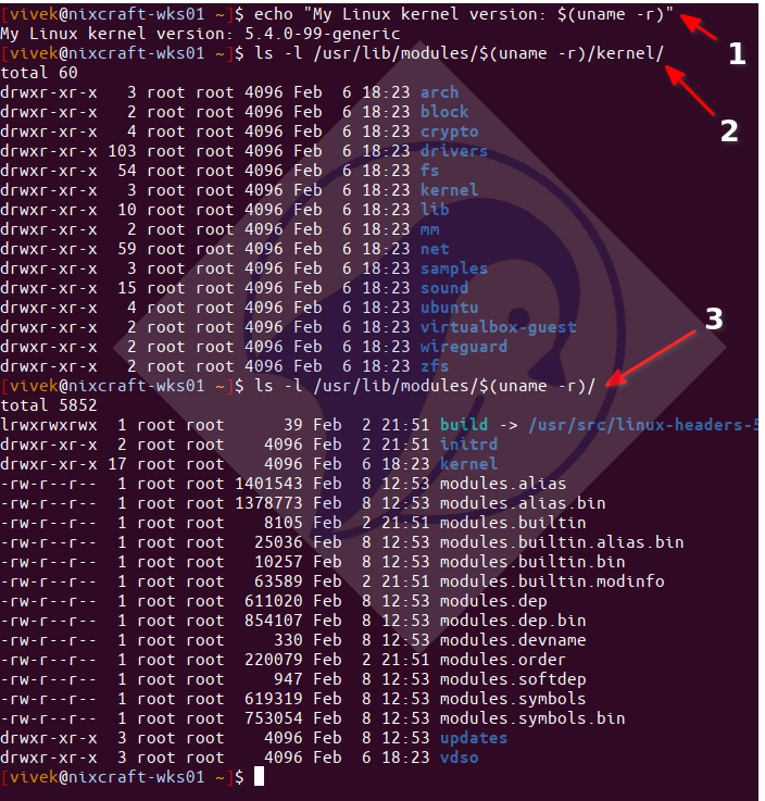 在 Linux CLI 上列出 Linux 内核模块