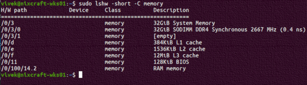 如何在 Linux 中查找当前 RAM 的频率和类型