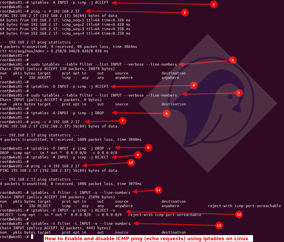 Linux Iptables 允许或阻止 ICMP ping 请求演示