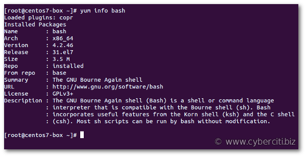 如何在 Linux 上检查 bash 版本